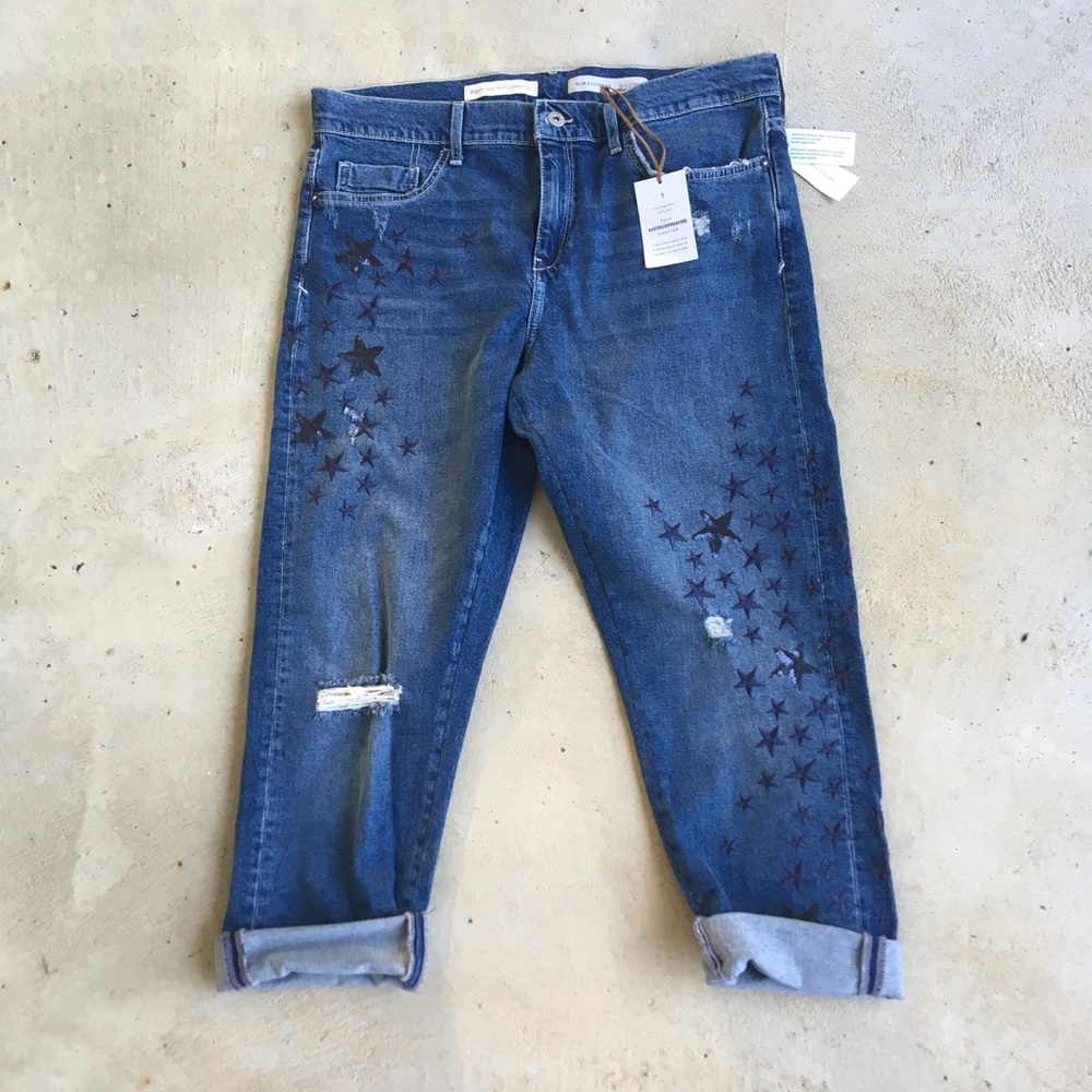 Pilcro Anthropologie slim boyfriend cropped distressed jeans Stars 31 NWT
